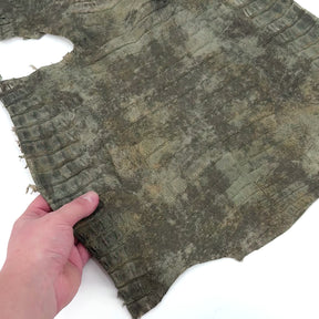 Forest Caiman Crocodile Belly | SALE