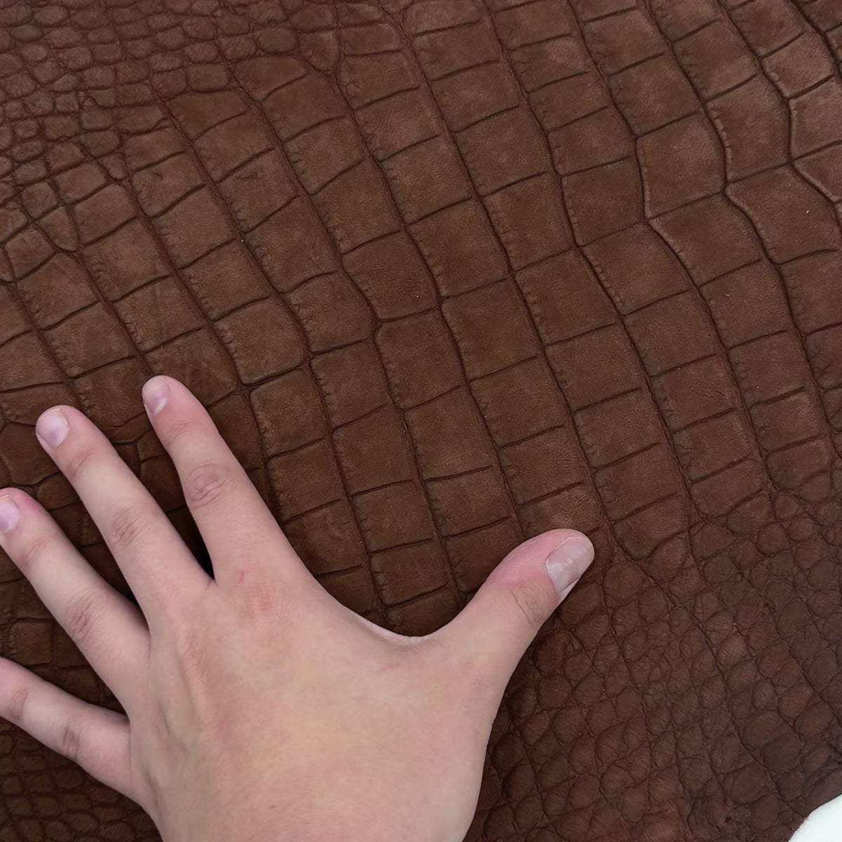 Nubuck Wild American Alligator Cognac | 39 cm | SALE