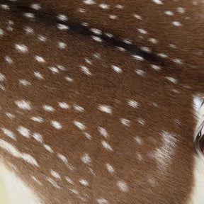 Extra Soft Axis Wild Deer Hide - only 10 available!