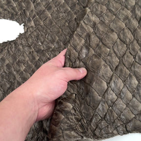 Stone Grey Pirarucu Fish Leather