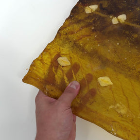 Transparent Sturgeon Plates | One-Of-A-Kind