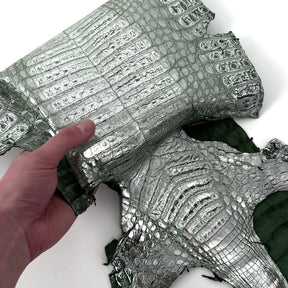 Metallic Caiman Crocodile - only 5 per color | Sale