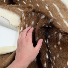 Extra Soft Axis Wild Deer Hide - only 10 available!