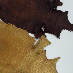 Buy 2, Get 20% OFF - Small Nile Crocodile - Only 4 available | SALE