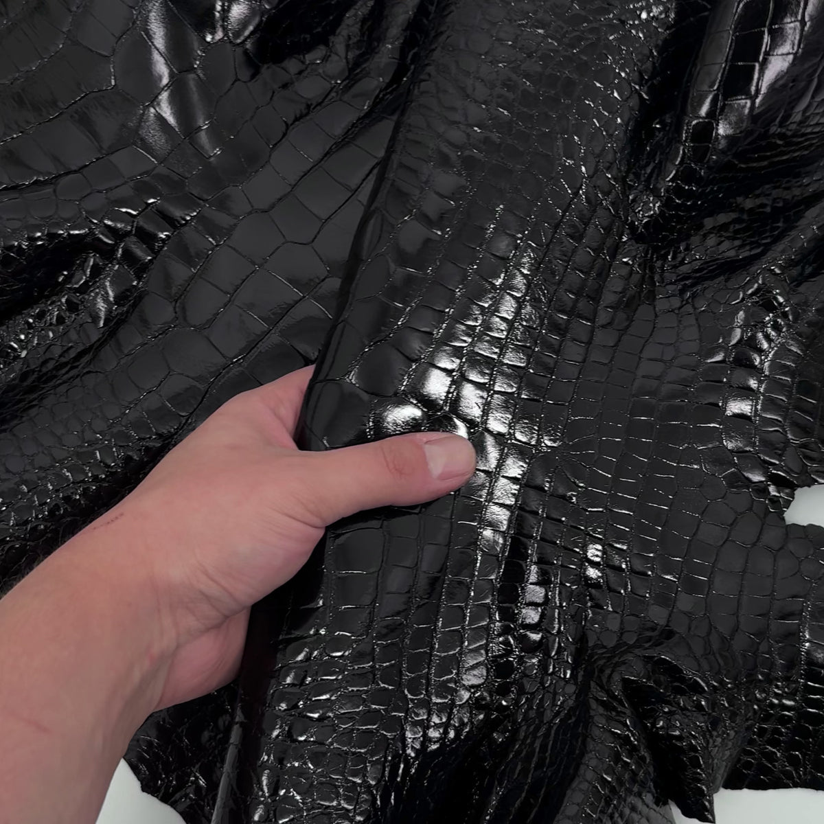 Glazed Black Alligator | Sale