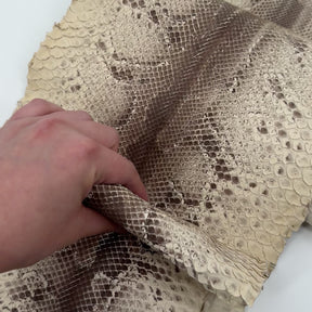 Natural Short Tail Python Cuts | Final Sale