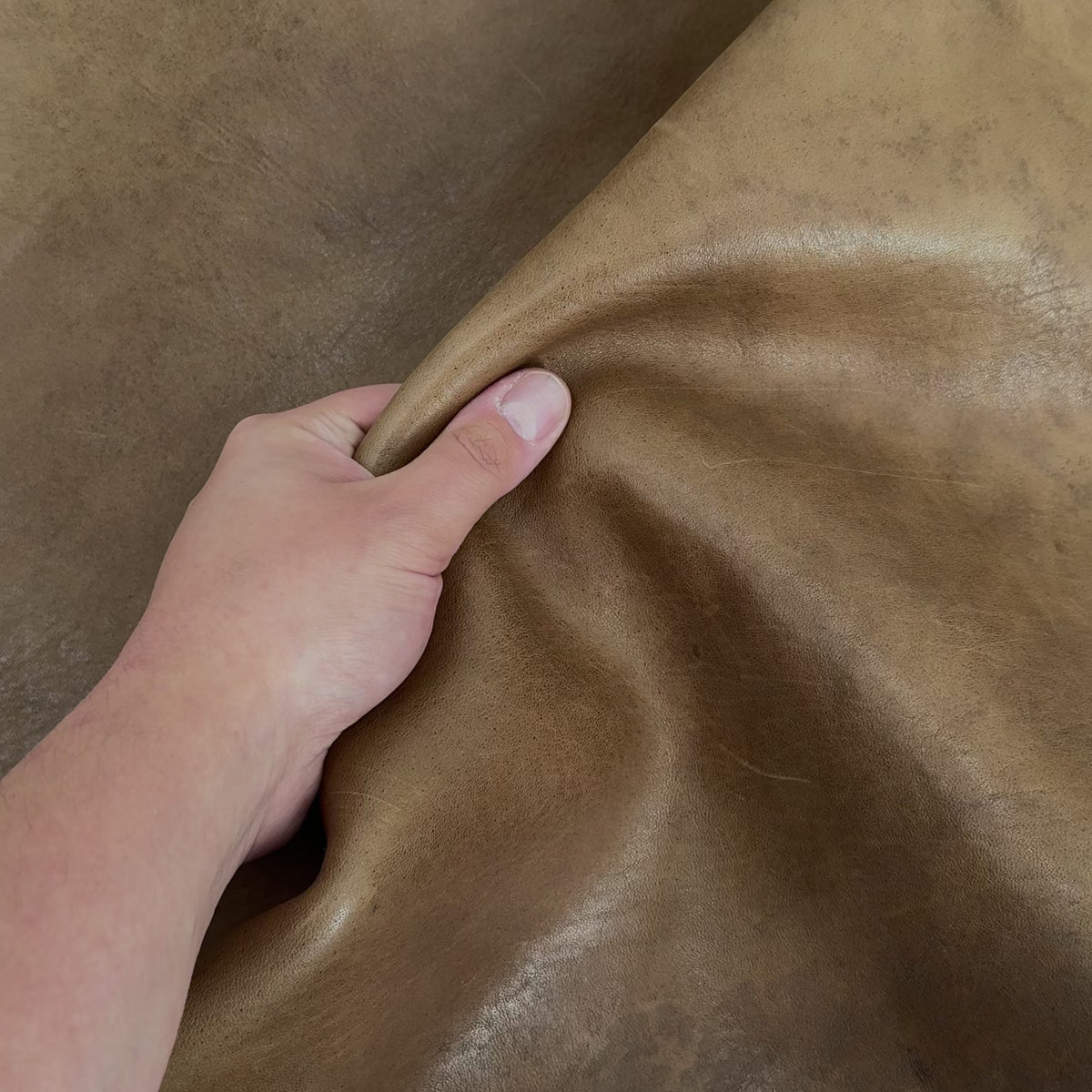 Washed Distressed Horse Leather | LAST SKIN!
