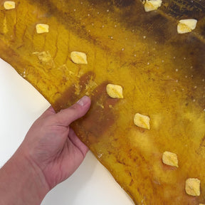 Transparent Sturgeon Plates | One-Of-A-Kind