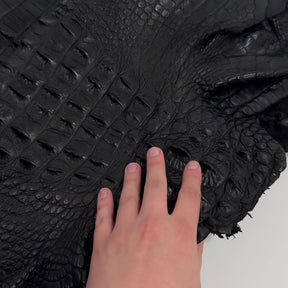 Exclusive Hornback Alligator in Black (56 cm) - Only 1 Available!
