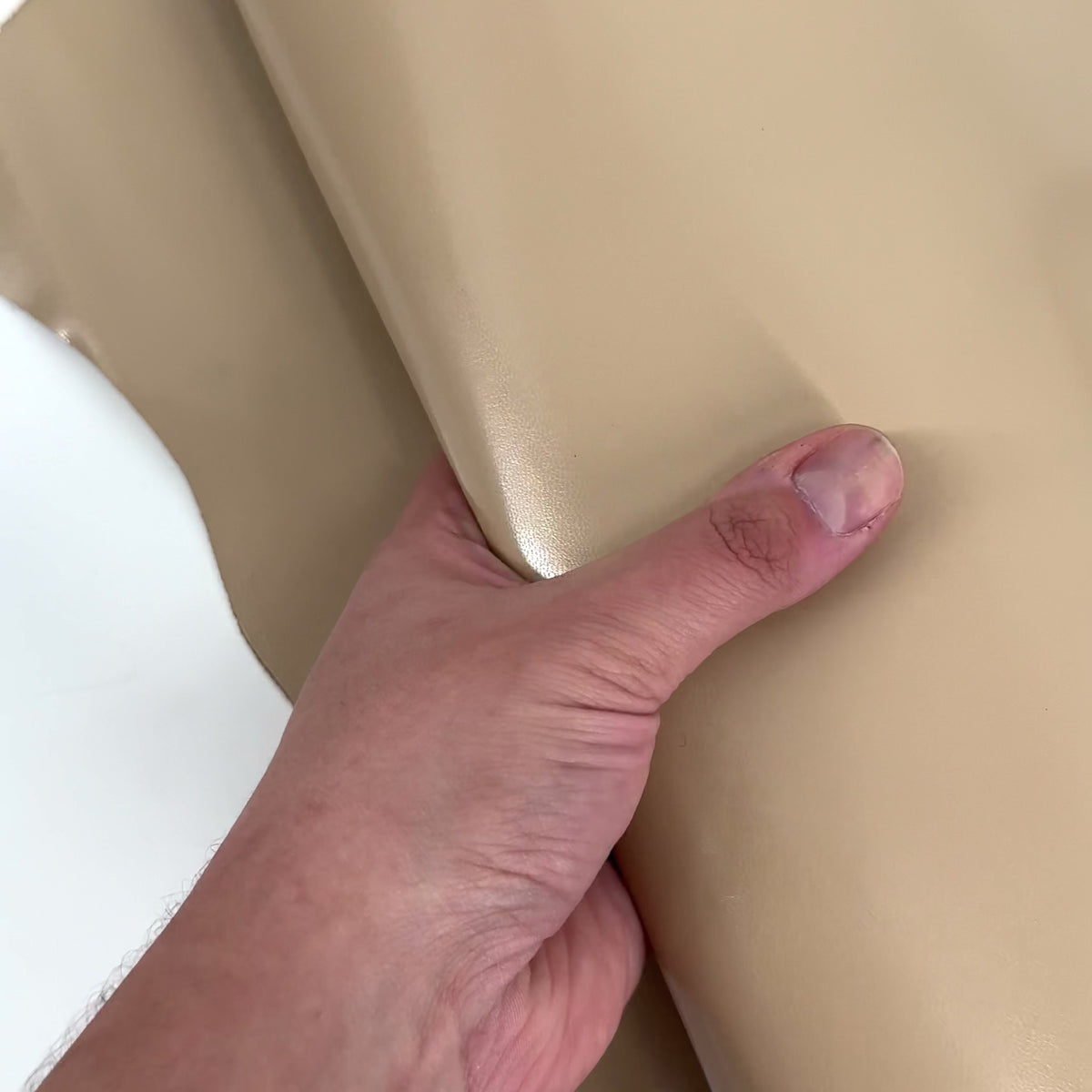 Kid Skin Goat Leather