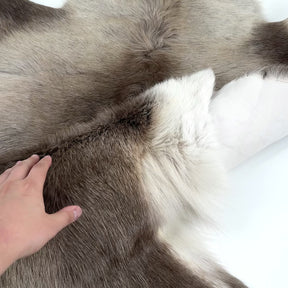 Hair-On Natural Reindeer Hide