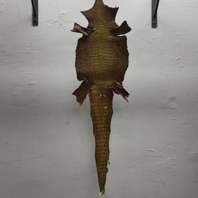 Hand Painted Nile Crocodile | Yellow Brown | 24 cm