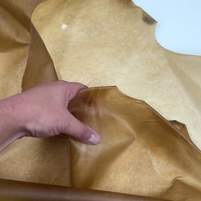 Transparent Horse Leather | Ships June 15