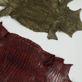 Buy 2, Get 20% OFF - Small Nile Crocodile - Only 4 available | SALE