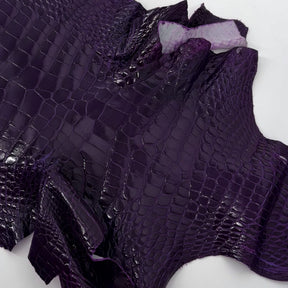 Glazed Wild American Alligator in Purple | 38 cm