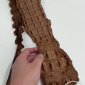 Genuine Crocodile Straps