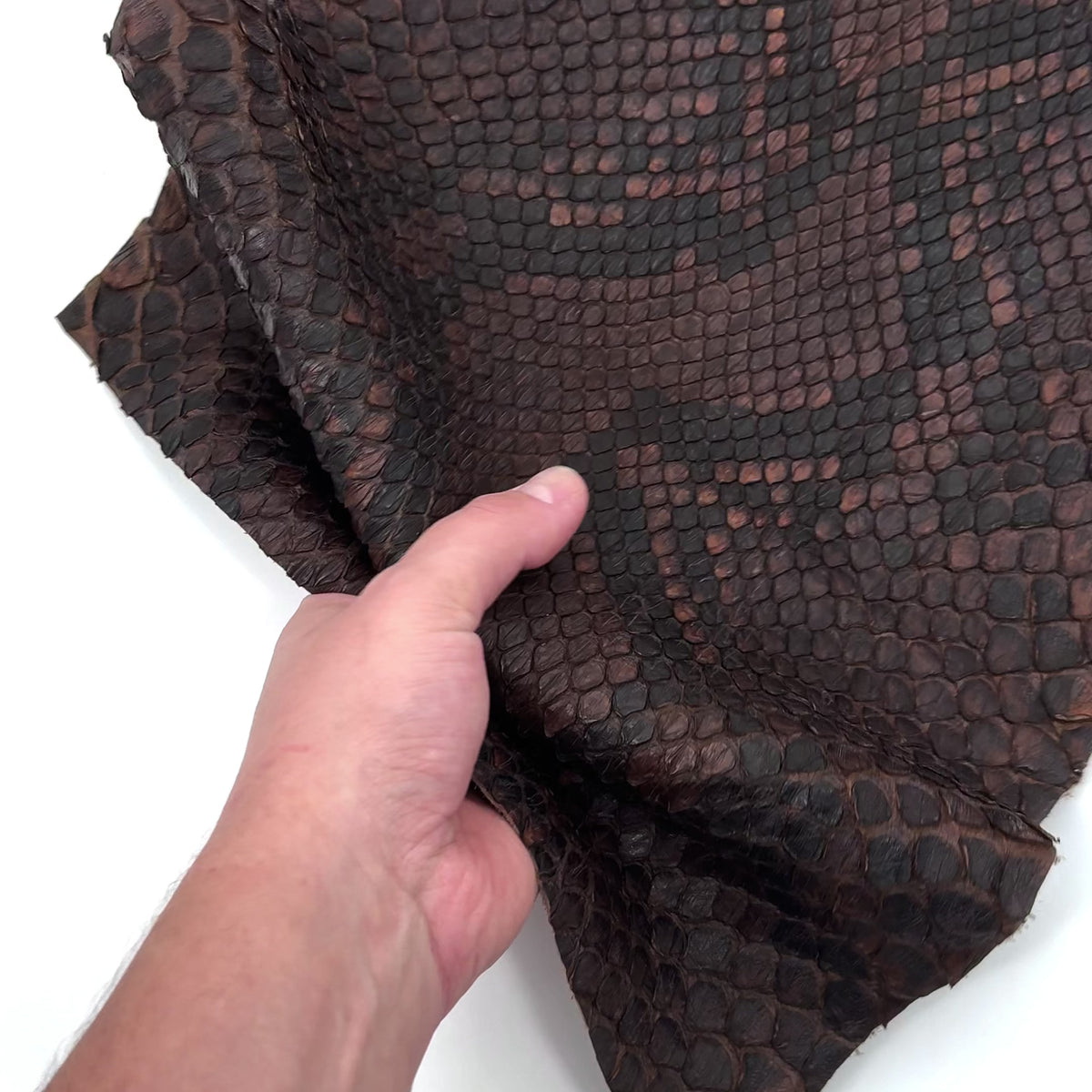 Dark Brown Python Cut #1A - Only 1 Available! | SALE