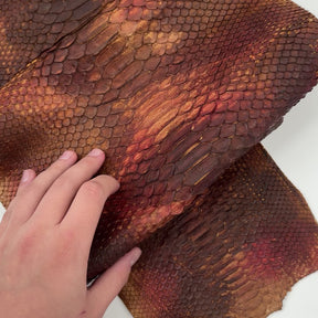 Autumn Leaf Short Tail Python | SALE | LAST 2 HIDES!