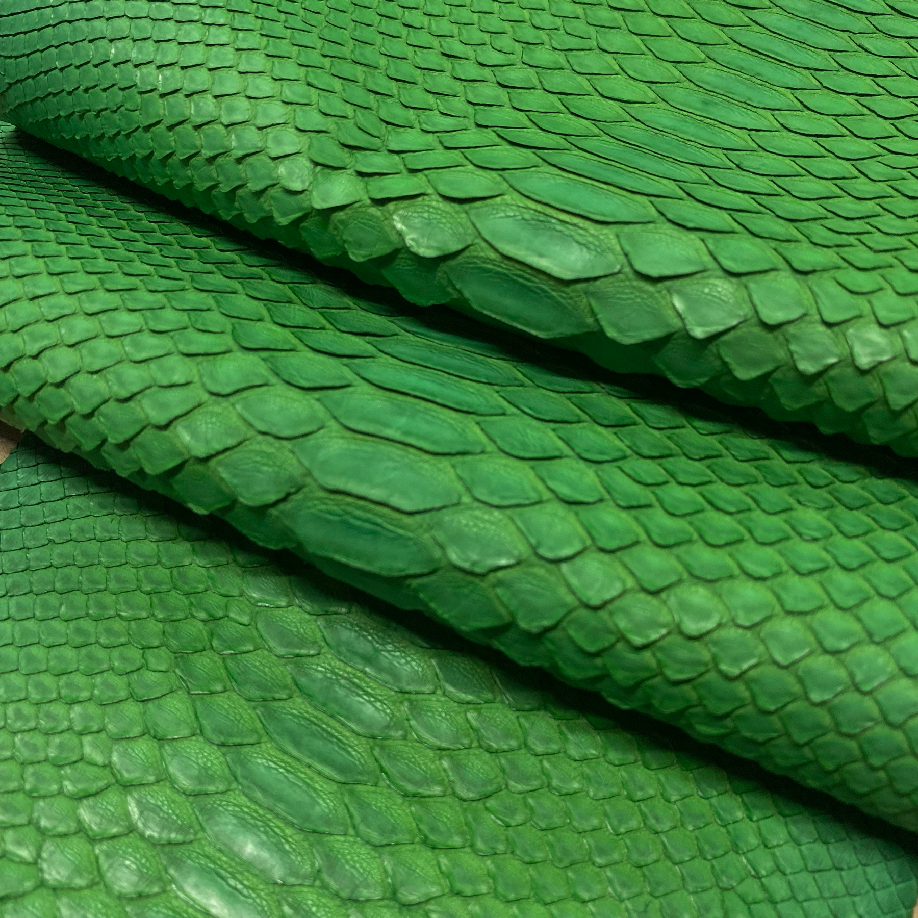 Python Matte | Green | Short Tail Back Cut