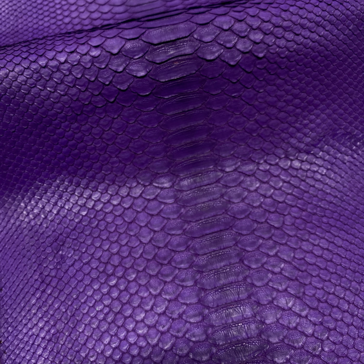 Python Matte | Purple | Short Tail Back Cut | Grade 2