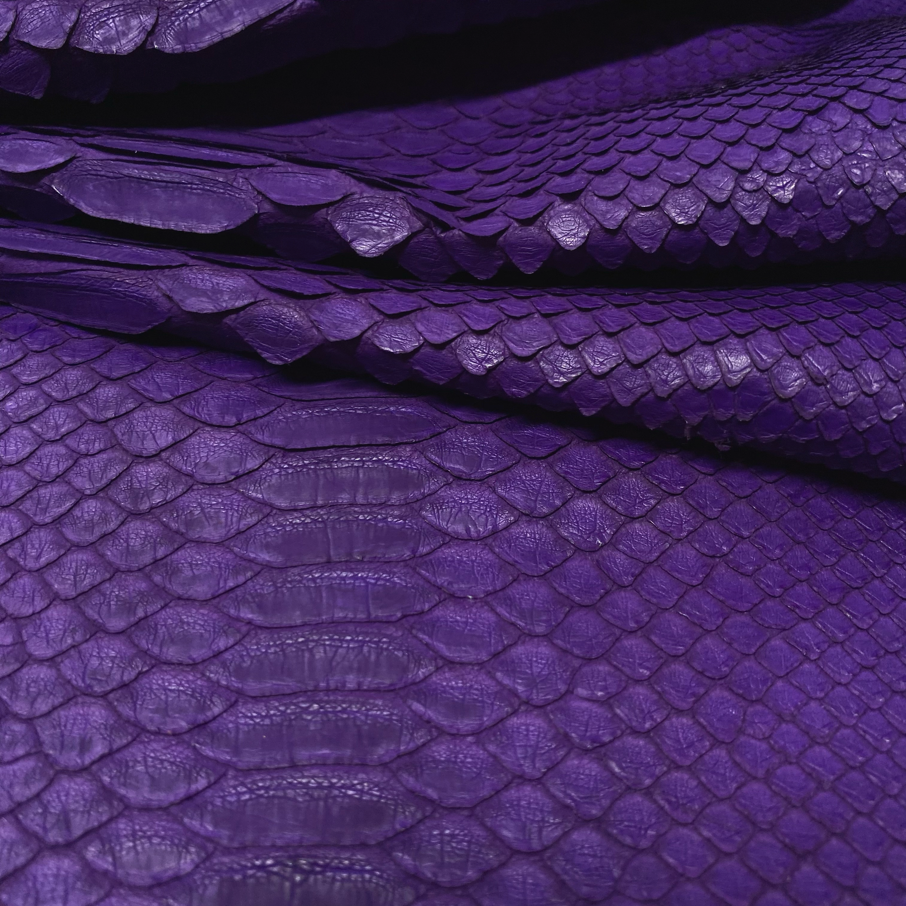 Python Matte | Purple | Short Tail Back Cut | Grade 2