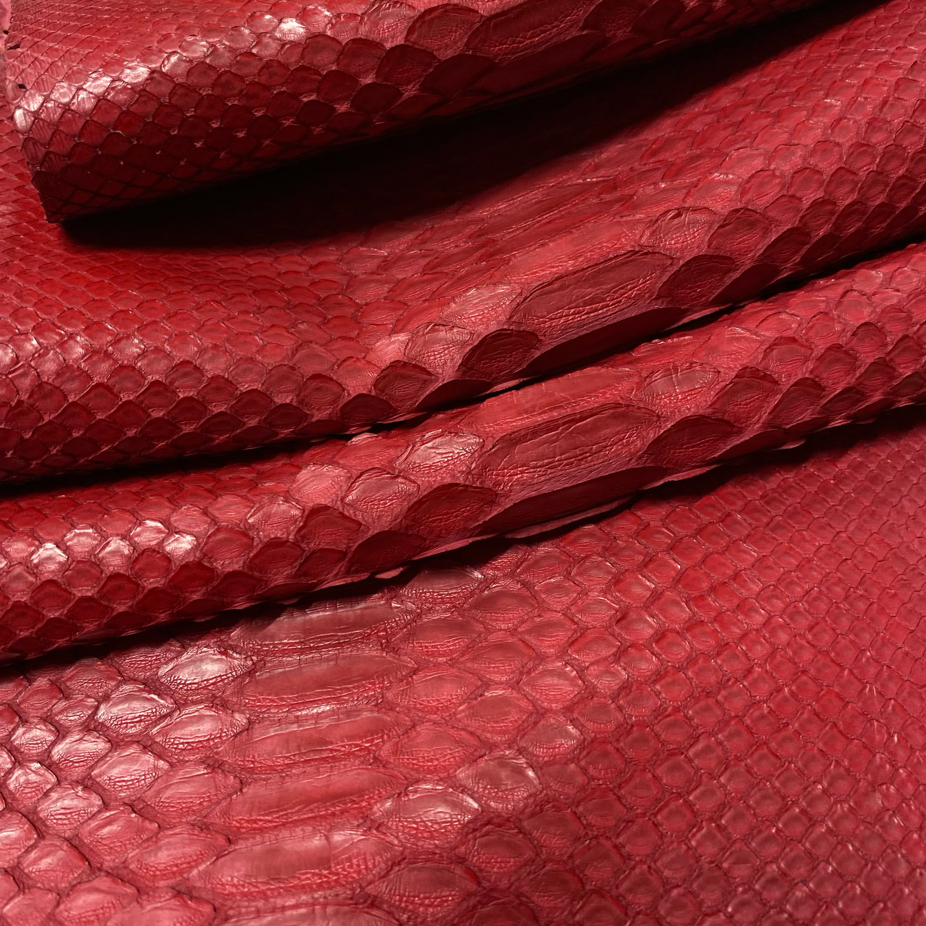 Python Matte | Red | Short Tail Back Cut