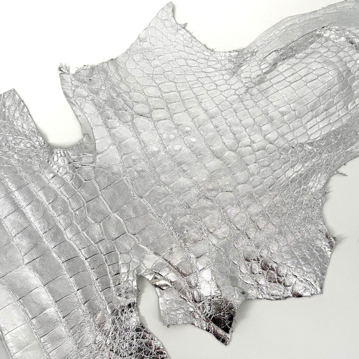 Wild American Alligator Metallic Silver Foil 50 cm