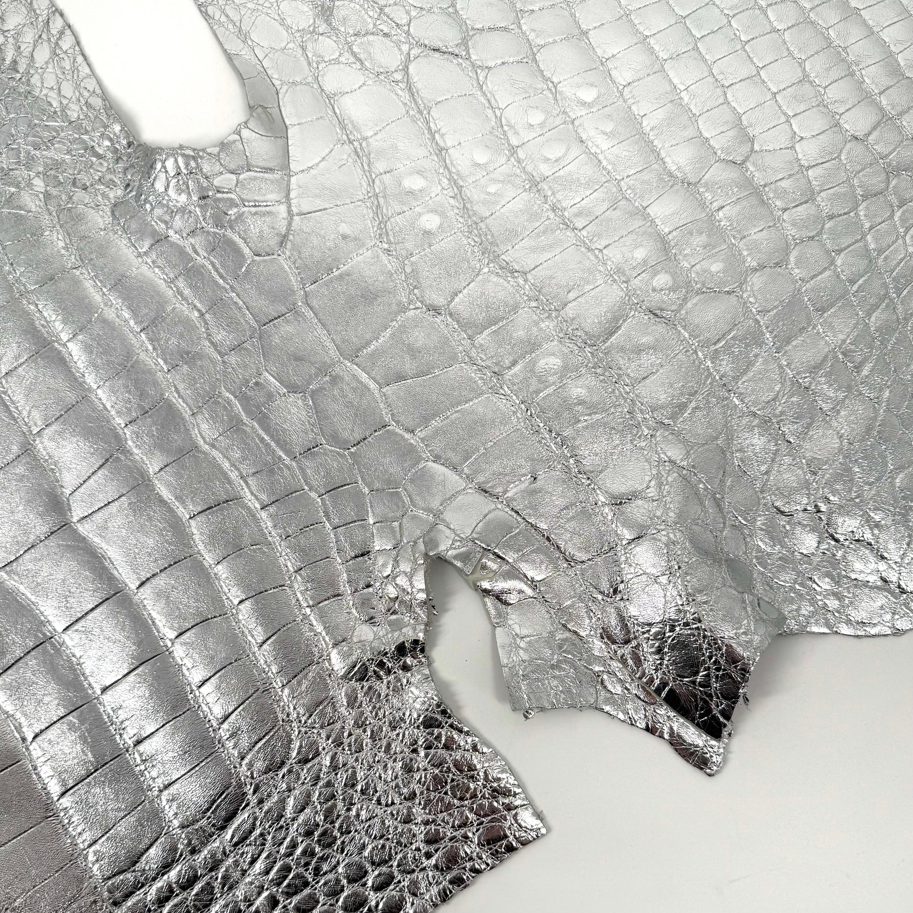 Wild American Alligator Metallic Silver Foil 50 cm