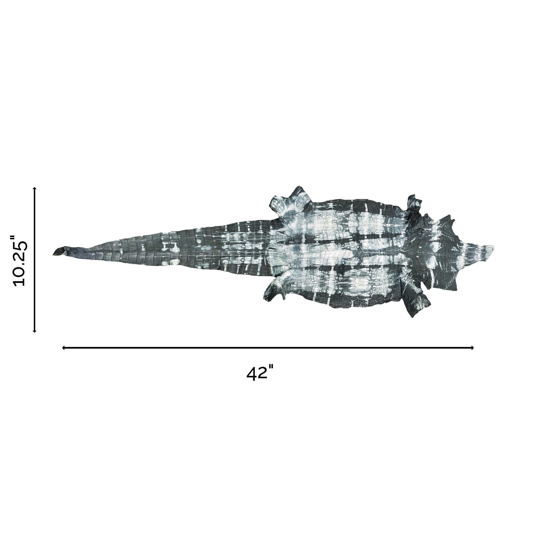 Tie-Dye Nile Crocodile | 26 cm