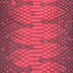 Watersnake Panel | Red