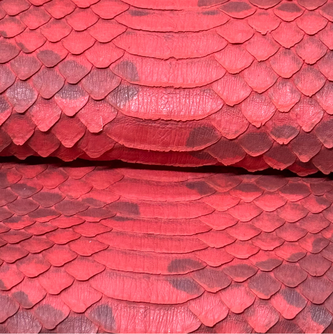 Watersnake Panel | Red