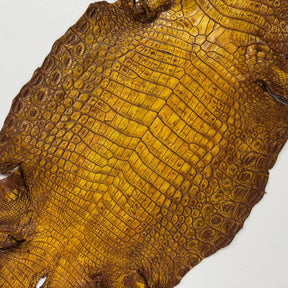 Hand Painted Nile Crocodile | Yellow Brown | 24 cm